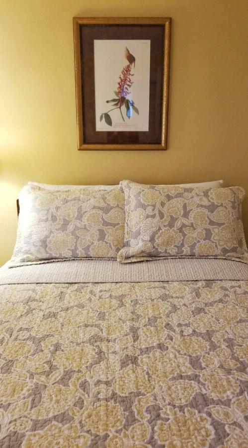 كوينسي Allison House Inn المظهر الخارجي الصورة